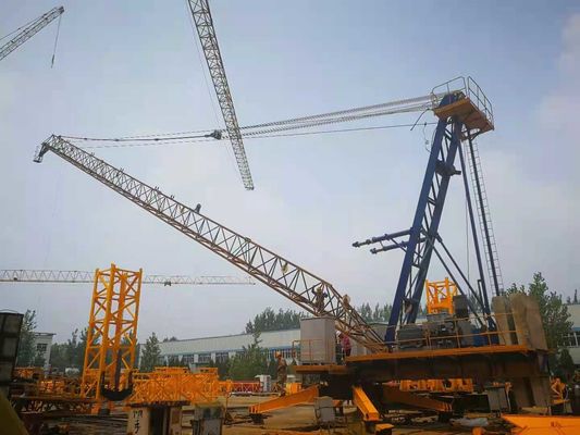 İyi fiyat Frekans kontrolü 30m Jib Derrick vinç, 440V Çıkarma İç Çıkma İnşaat vinci çevrimiçi
